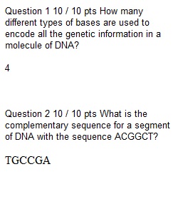 Quiz 6